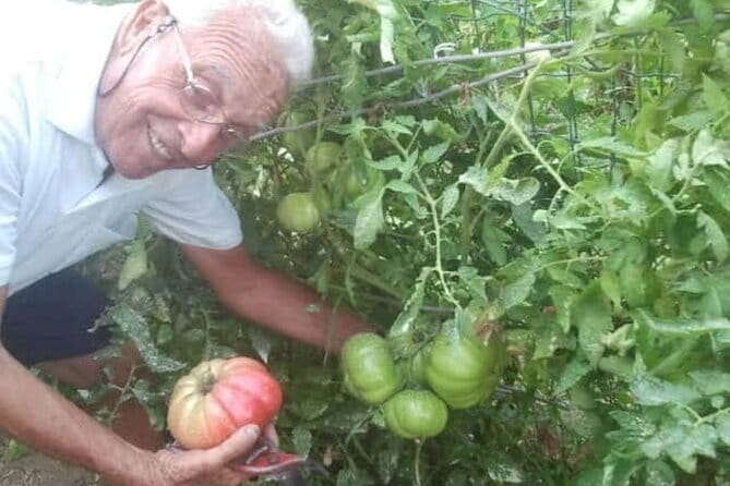 Cooking class in Capri for small groups - Practical Details: Timing, Group Size, and Cost