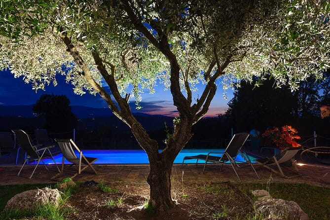 Cooking class of Spoleto recipes, fresh pasta and truffles - Who Will Love This Experience?