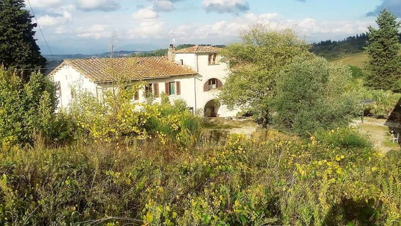 Cooking Class on a Traditional Tuscan Farm - Key points / Takeaways