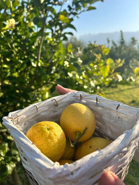 Cooking Class w/Italian Mamma from Pompei! - Final Thoughts: Should You Sign Up?