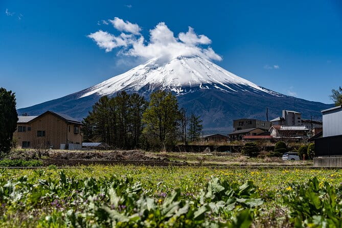 Cooking Hoto Udon Noodle Tour in Mt.Fuji Area From Tokyo - Culinary Delights of the Region