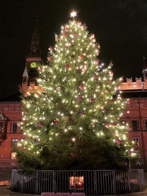 Copenhagen: Christmas Charm Walking Tour With Holiday Beer - Key Points