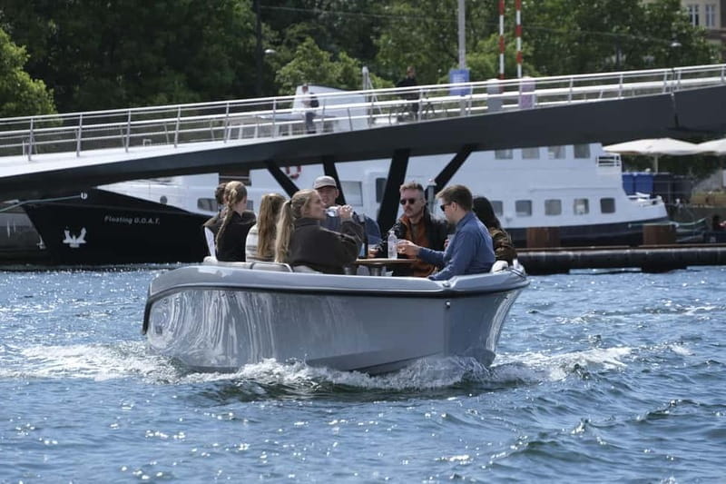 Copenhagen: Electric Boat Canal Tour with Guide - Who Will Love This Tour?