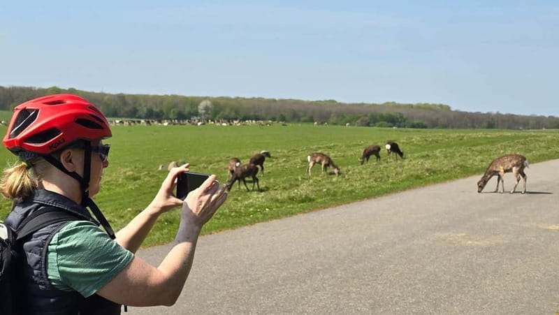 Copenhagen: Guided Tour Deer Park in Klampenborg - Summary: Is It Worth Your Time?