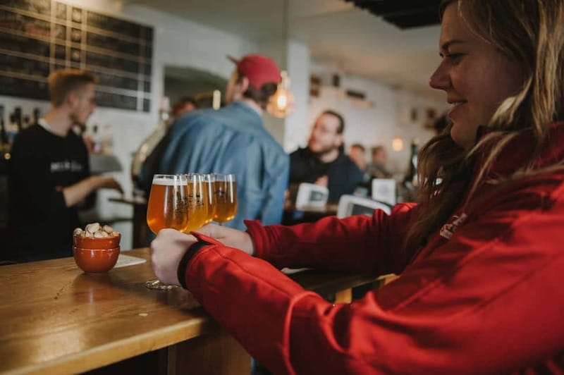 Copenhagen: Small Group Neighborhood Tour With Beer & Pubs - Practical Details and Final Thoughts