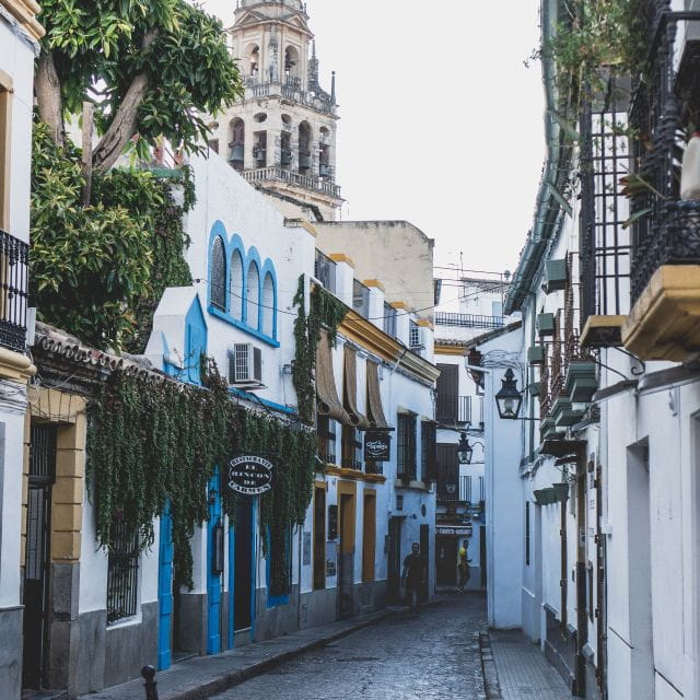 Cordoba: 3-Hour Private Walking Tour - Things To Know