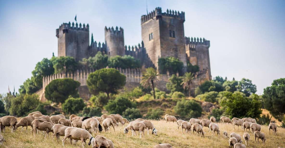 Córdoba: Almódovar Castle Entrance Ticket - Historical Overview of Almódovar Castle