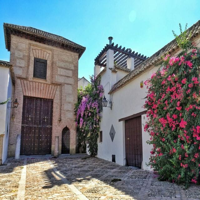 Cordoba: Archaeological Museum Entry Ticket With Guided Tour - Tour Experience Highlights