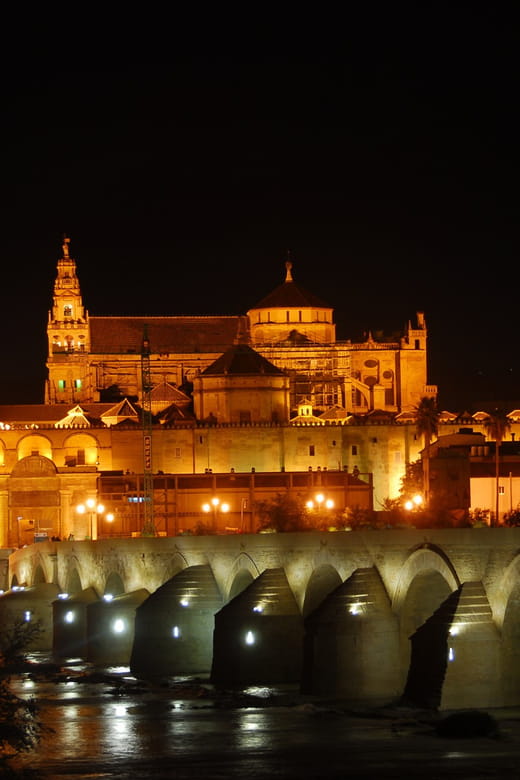 Cordoba at Night by Bike, Electric Bike - Key Points / Takeaways