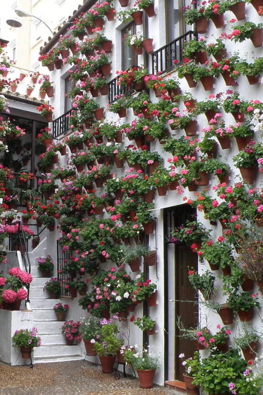 Cordoba Courtyards by Bike, Electric Bike - Key Points / Takeaways