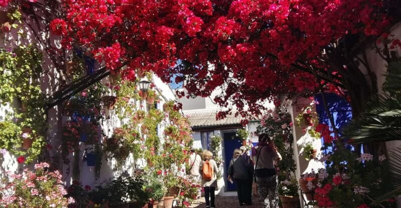 Cordoba Courtyards by Bike, Electric Bike - The Itinerary: What You’ll See and Experience