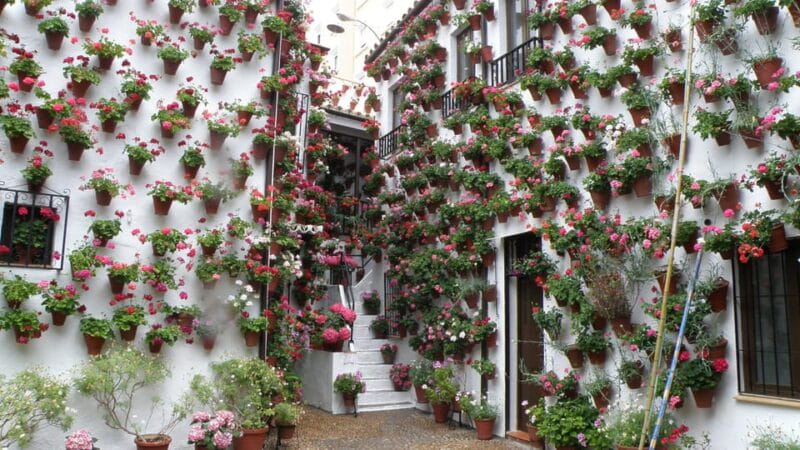 Cordoba Courtyards by Bike, Electric Bike - Final Thoughts: Who’s It Best For?