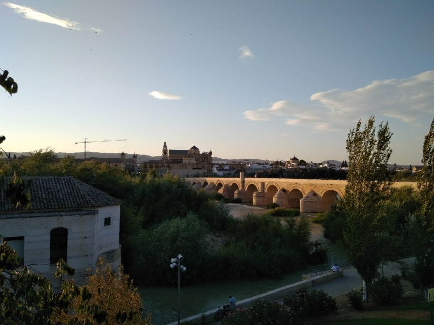 Córdoba Daily Highlights Bike Tour - Key Points