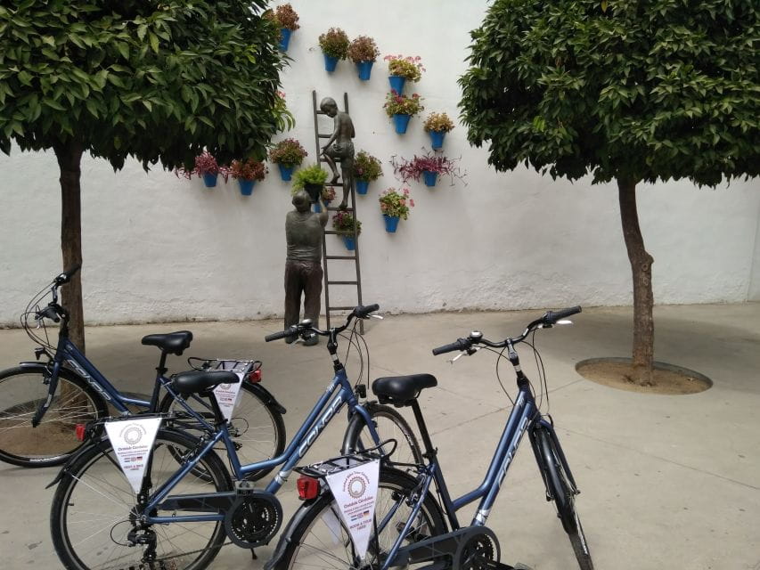 Córdoba Daily Highlights Bike Tour - Things To Know