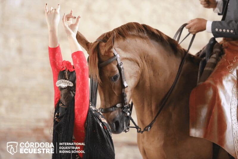 Cordoba: Equestrian Show General Entry - Entering a Historic World of Horses and Flamenco