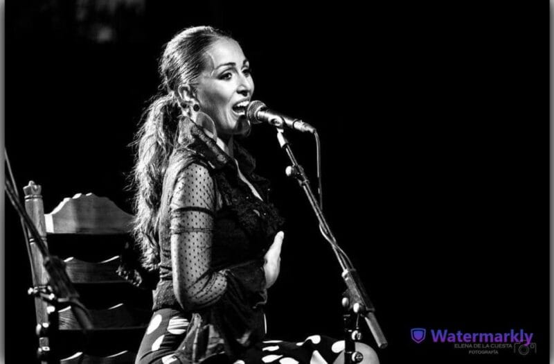 Córdoba: Flamenco Show Ticket with Drinks - Authenticity and Passion from the Performers