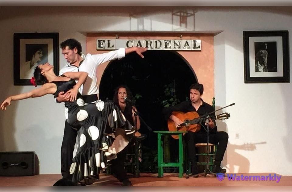 Córdoba: Flamenco Show Ticket With Drinks - Additional Services Offered