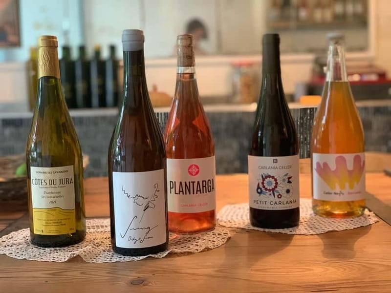 Cordoba: From Vine to Table: A Spanish Wine Experience - Discovering Córdoba’s Natural Wine Scene: From Vine to Table