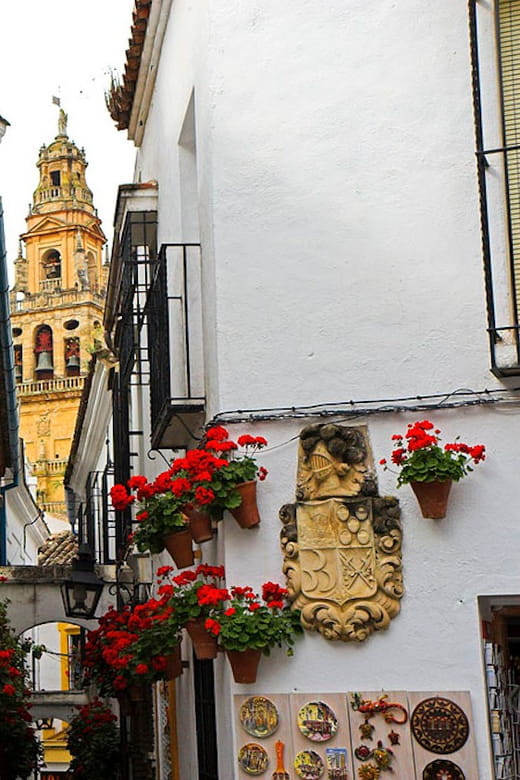 Cordoba Guided Day Trip from Seville - Who This Tour Is Best For