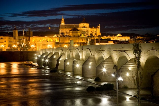 Cordoba Guided Day Trip from Seville - The Value of the Experience