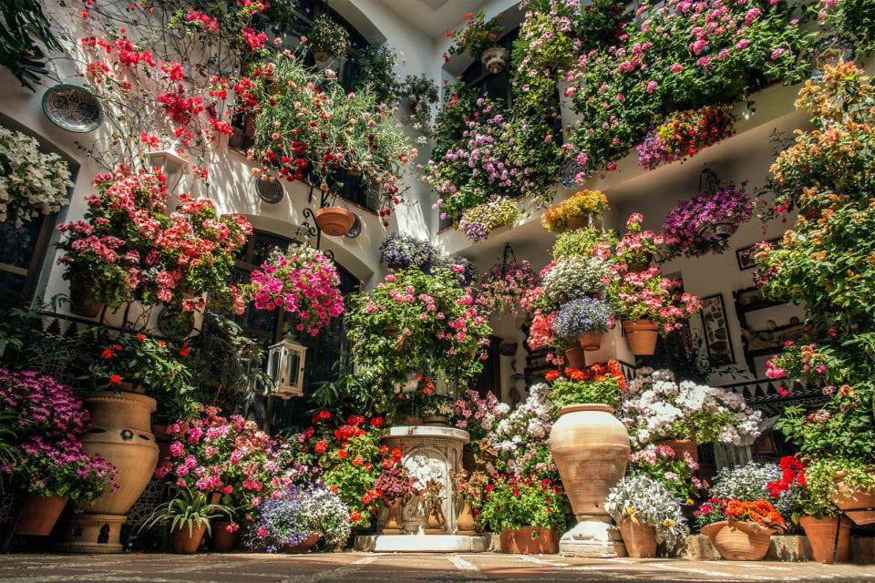 Córdoba: Guided Tour of the Patios - Customer Feedback