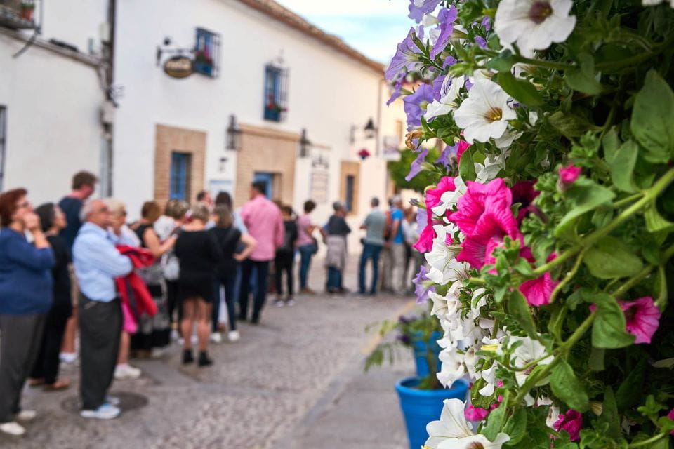 Córdoba: Guided Tour of the Patios - Practical Tips for Visitors