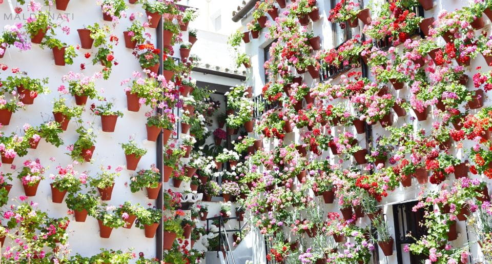 Córdoba Highlights Walking Tour - Price and Duration