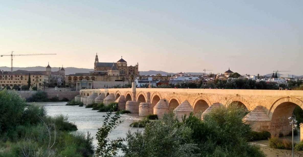 Córdoba Highlights Walking Tour - Key Attractions Explored
