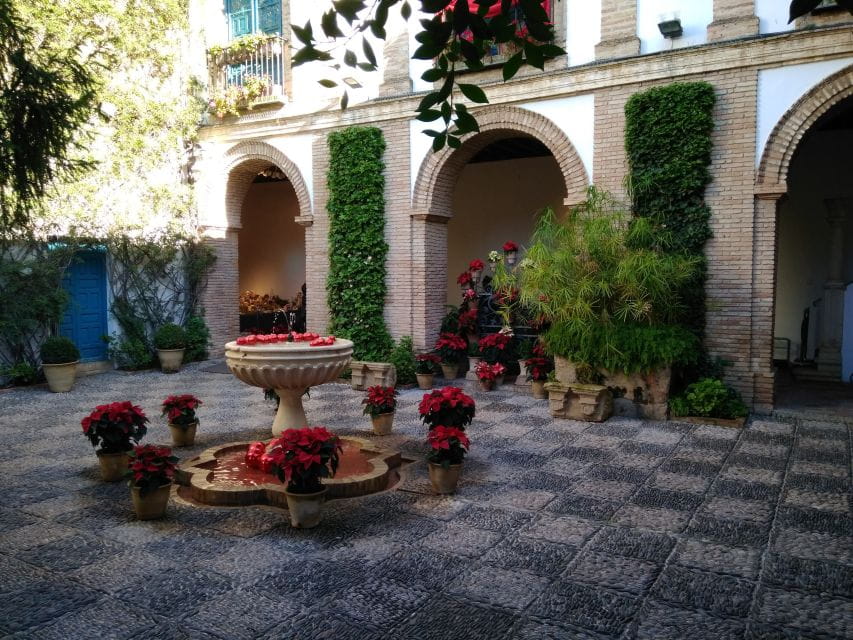 Córdoba Highlights Walking Tour - Tour Highlights