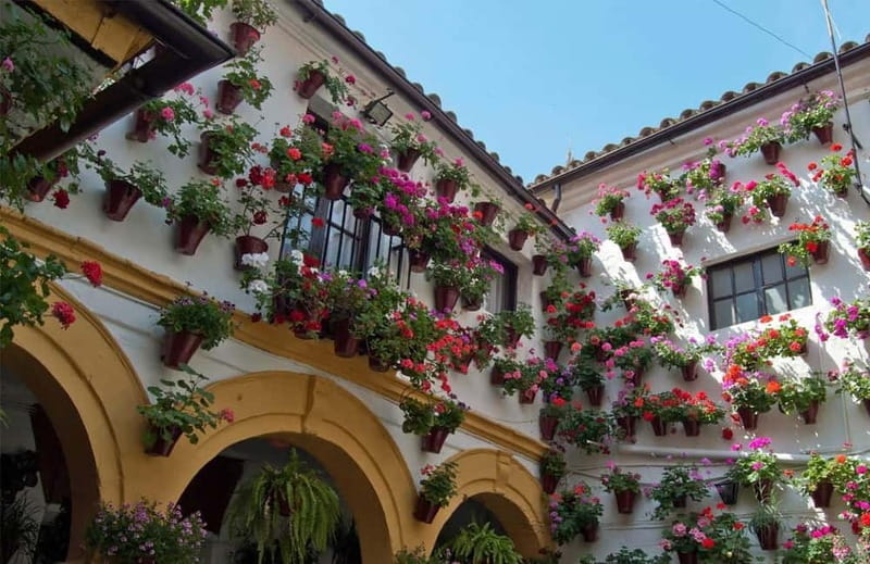 Córdoba: Historic Center, World Heritage Site - Final Thoughts: Who Will Love This Córdoba Tour?