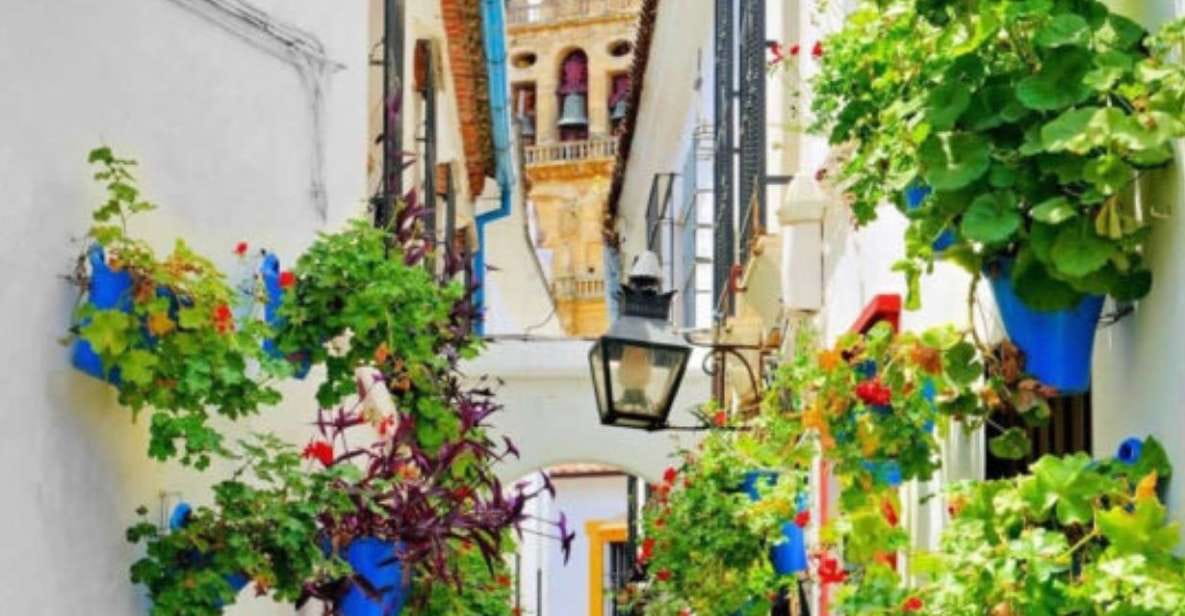 Cordoba: Historical Monuments of Cordoba City Walking Tour - Key Points