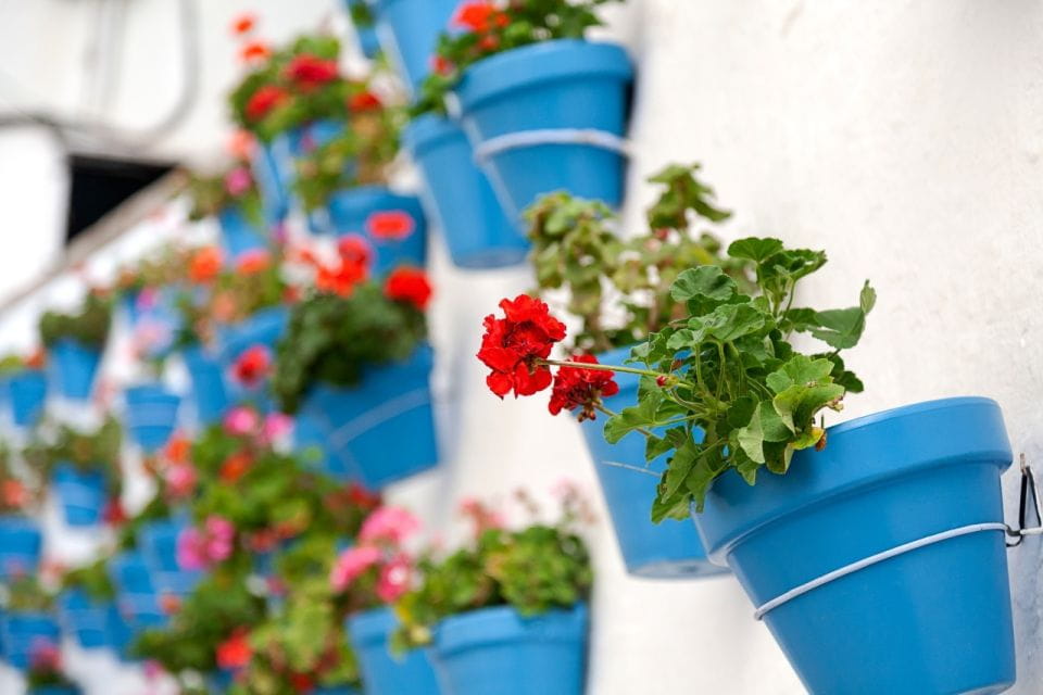 Cordoba: Jewish Quarter Walking Tour - Knowledgeable Local Guides