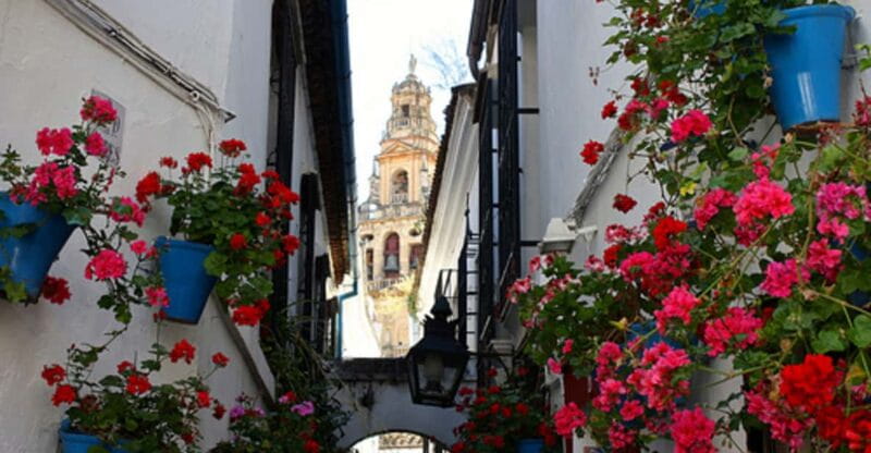 Córdoba: Mosque-Cathedral of Cordoba Private Walking Tour - Key Points / Takeaways