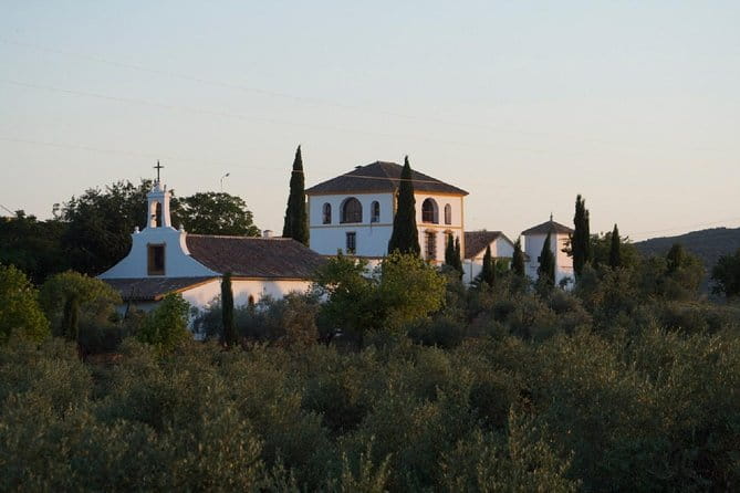 Cordoba Olive Oil mill, Wine, Passion - Who Might Want to Consider This Tour?