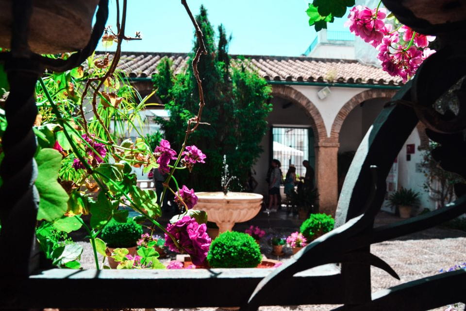 Cordoba: Patios and Viana Palace Tour - Key Points