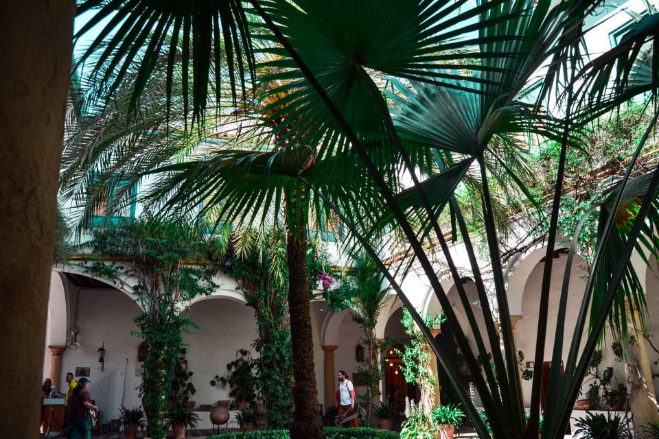 Cordoba: Patios and Viana Palace Tour - Participant Information