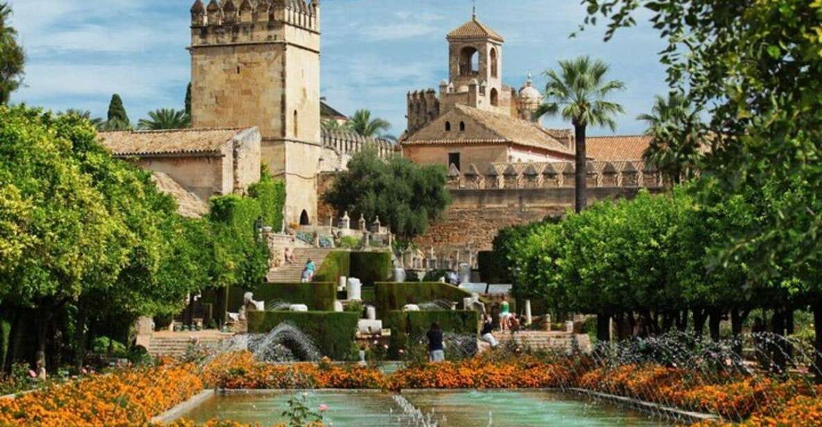 Cordoba : Patios Private Walking Tour - Itinerary and Experience