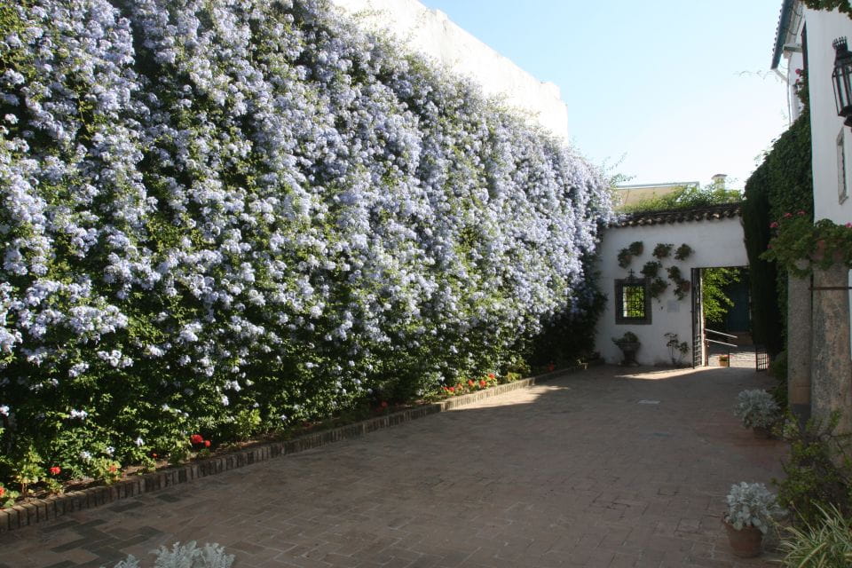 Córdoba: Viana Palace Gardens and Patios Entry Ticket - Key Points