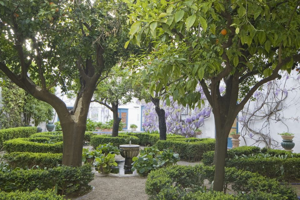 Córdoba: Viana Palace Gardens and Patios Entry Ticket - Exploring the Courtyards