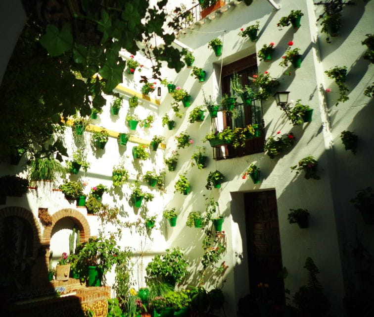 Cordobas Authentic Patios: 2-Hour Tour With Tickets - Customer Reviews