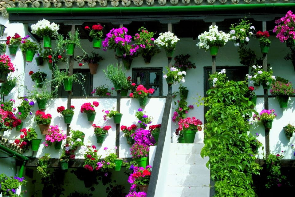 Cordobas Authentic Patios: 2-Hour Tour With Tickets - Booking Details