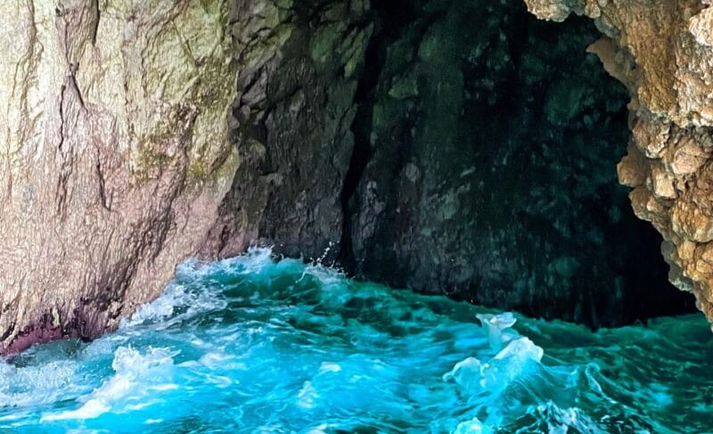 Corfu: Bus Trip & Swim to Paleokastritsa & Olive Oil Museum - The Olive Oil Museum: Learning and tasting