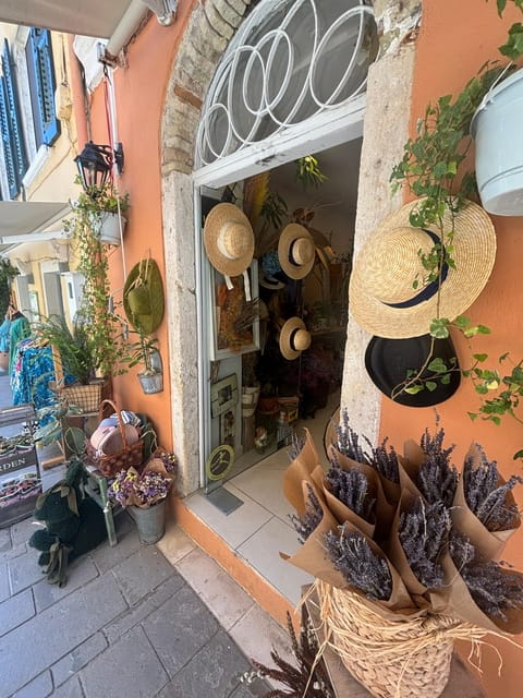 Corfu: Dog Sightseeing Tour - Who Will Love This Tour?