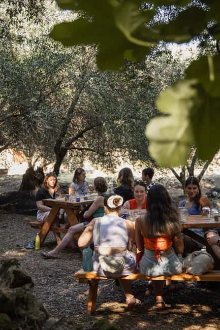 Corfu: Guided Olive Groves Tour with Olive Oil Tasting - Price and Value Considerations