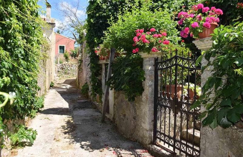 Corfu: Olive Oil & Wine Tastings & Traditional Villages Tour - Exploring the Oldest Winery on the Island