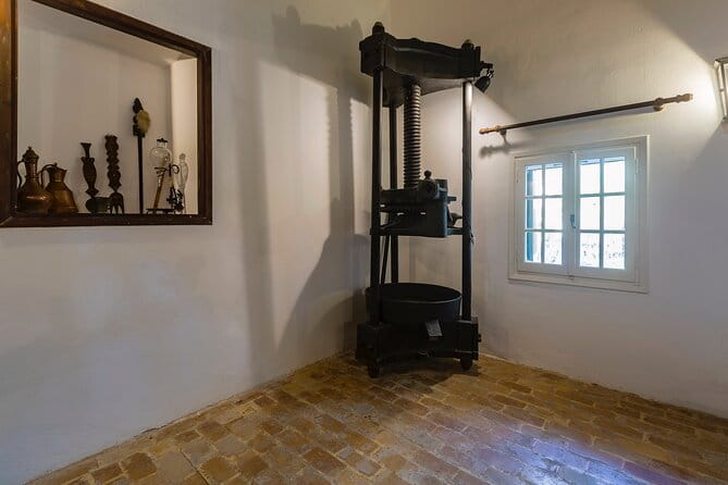 Corfu Organic Olive Oil Tasting at Family Farm - Who Will Love This Tour?