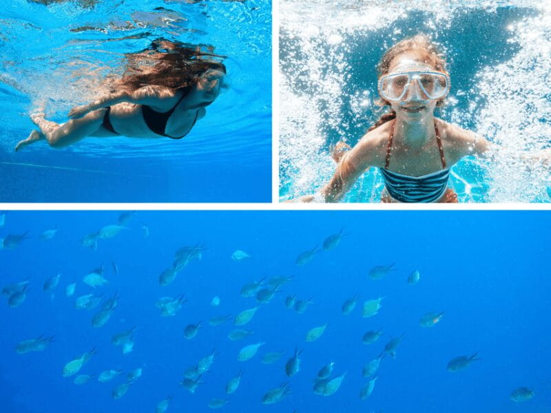 Corfu: Paxos Island Full-Day Cruise with Blue Caves - The Return and Final Views