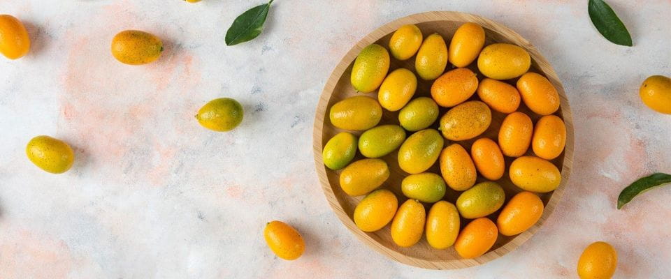 Corfu: Private Half-Day Food and Culture Tour - Booking and Availability