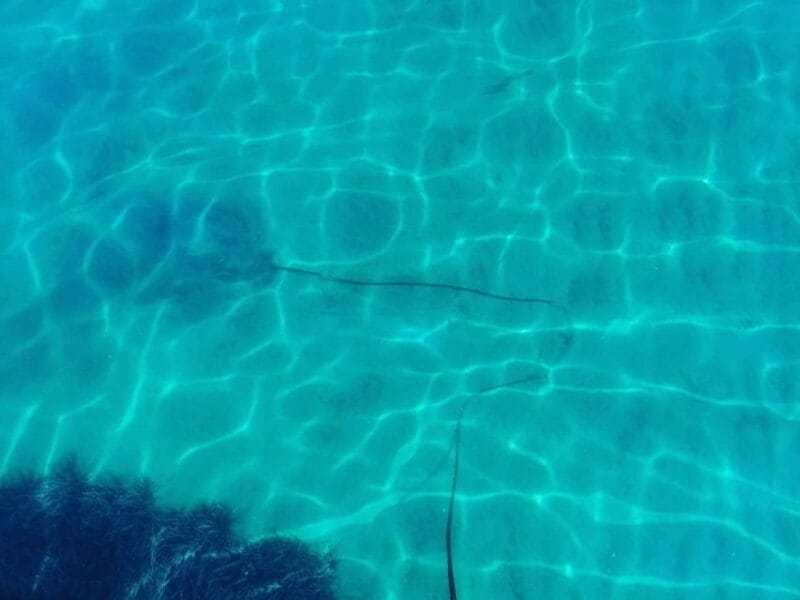 Corfu: Private Sailing Yacht Cruise - An in-depth look at the Corfu Sailing Yacht Experience