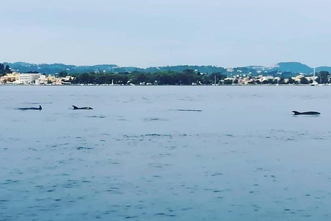 Corfu Private Yacht Cruise - Logistics and Meeting Point